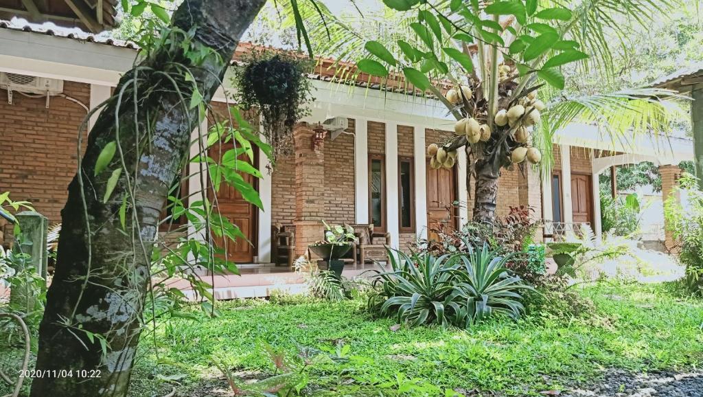 Kumojoyo Homestay Magelang Dış mekan fotoğraf